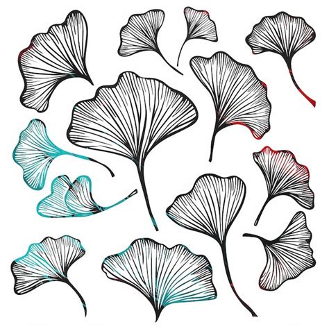 Ginkgo Leaf Flat Vector Line Set Illustration High Quality Premium Ai