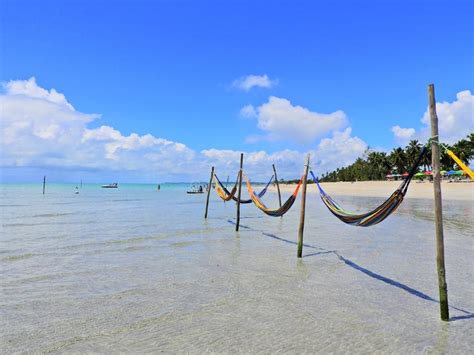 Dicas e informações para conhecer a praia de Maragogi