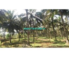 3 5 Acres Coconut Farm For Sale At Kozhinjampara Chittur Palakkad