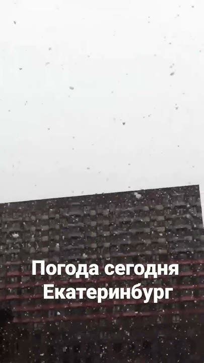 погода сегодня Екатеринбург - YouTube