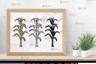 Corn Stalk Svg Corn Stalk Clipart Graphic By Pixel Elites Creative