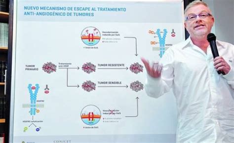 Cient Ficos Argentinos Descubren Avances En La Lucha Contra El C Ncer