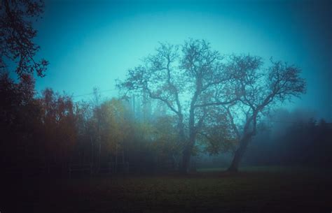 Blue Fog on Behance