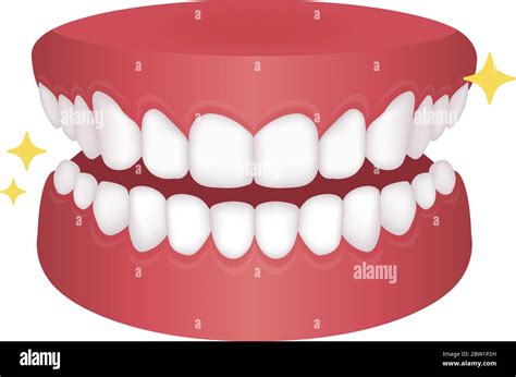 Dental Braces Flat Vector Illustration No Text Stock Vector Image