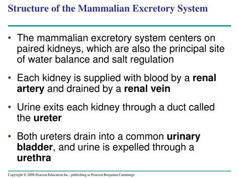 Ppt Overview Excretion And Osmoregulation A Balancing Act Powerpoint