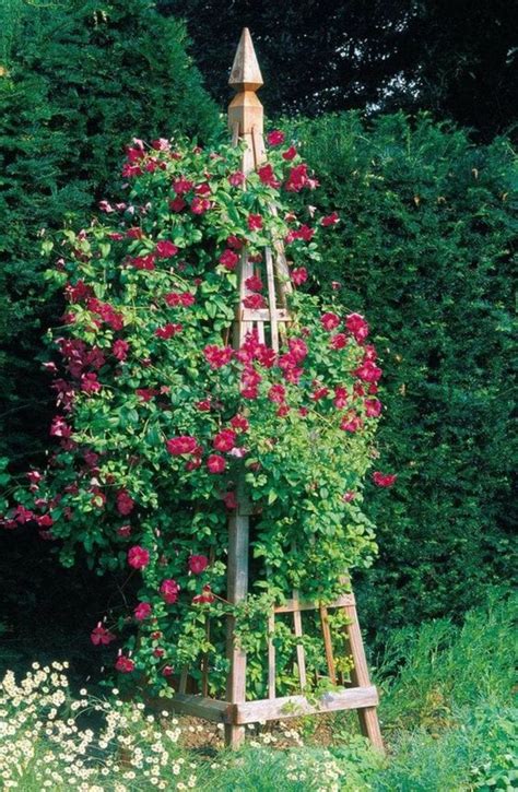 Diy Wooden Garden Obelisk 5 Essentials For Success