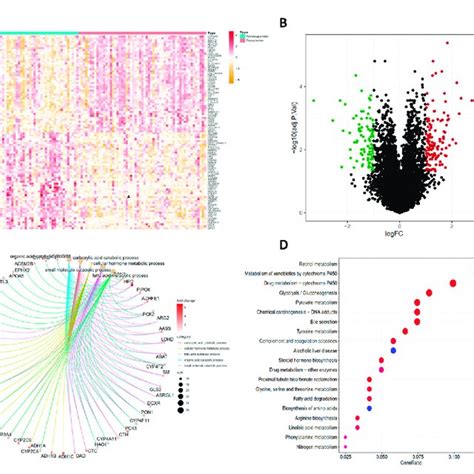 Identification Of Degs And Functional Enrichment Analysis Of Degs The