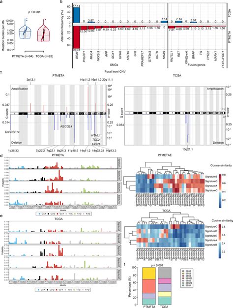 Comparison Of Genomic Landscape Between The Ptmeta Cohort And The Tcga