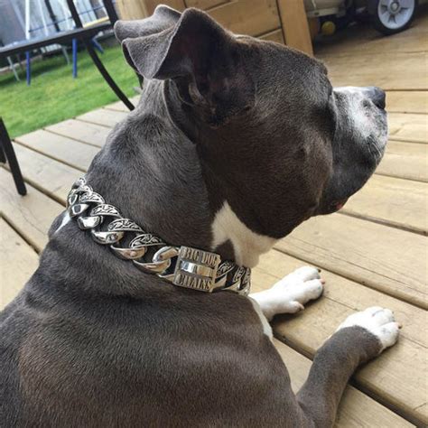 BIG DOG CHAINS | Maui Personalized Dog Collar – BIG DOG CHAINS