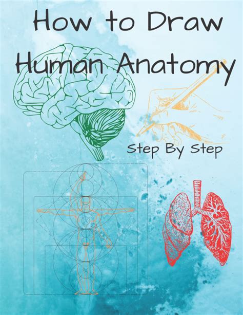 Buy How To Draw Human Anatomy Coloring Book How To Draw Human Body