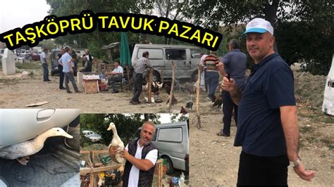 Kastamonu Taşköprü tavuk pazarından haftalık güncel fiyatlar ve güzel