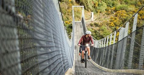 Remutaka Rail Trail Mountain Bike Explorer GetYourGuide