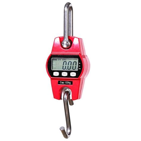 Electronic Weighing Scale With Hook 100kg Crane Scale 300kg Hanging