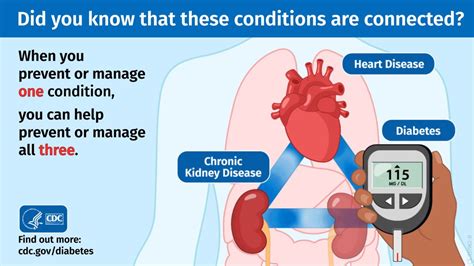 Health How Chronic Kidney Disease Diabetes Heart Disease Are Linked