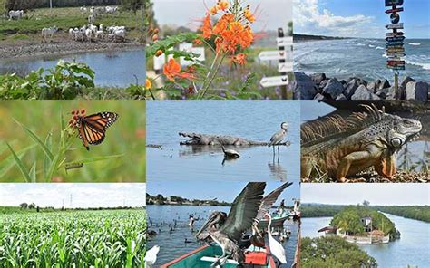 DíaDeLaTierra Sabías que Tamaulipas tiene más de 4 mil especies de