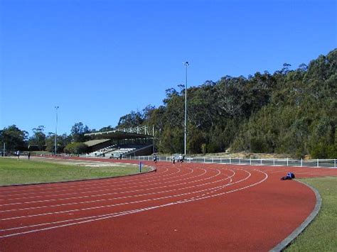 Northern Beaches Athletics Narrabeen Academy Of Sports