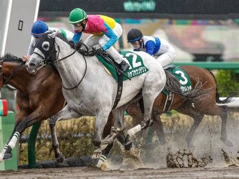 【マーチsレース後コメント】ハヤブサナンデクン津村明秀騎手ら 競馬ニュース Netkeiba