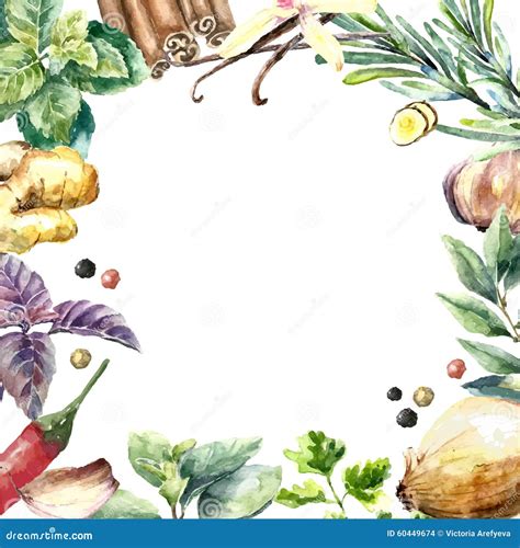 Watercolor Collection Of Fresh Herbs And Spices Stock Vector