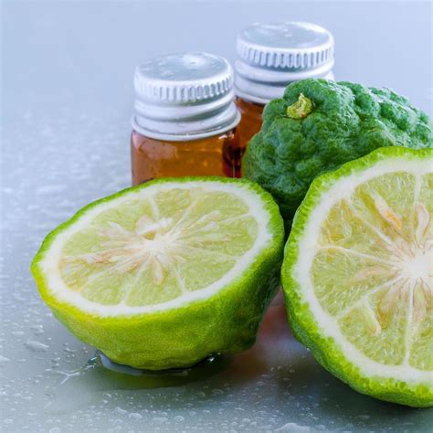 Kaffir lime essential oil bottles 2105339 Stock Photo at Vecteezy