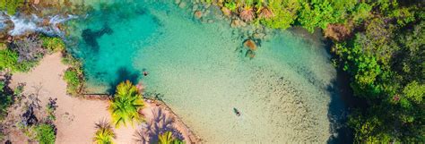 activities guided tours  day trips  tocantins civitatis