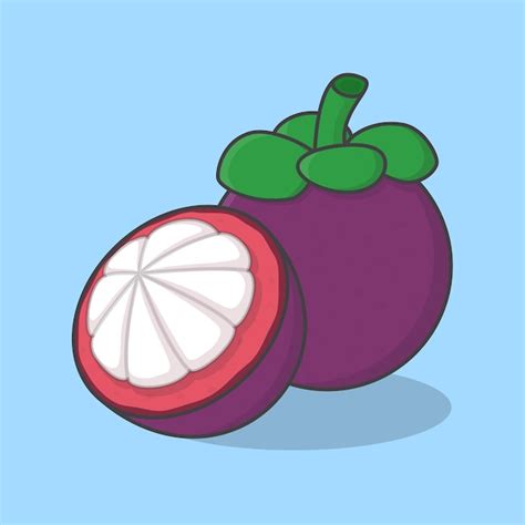 Premium Vector Slice And Whole Of Mangosteen Cartoon Vector