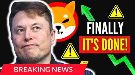 Revealed Shiba Inu Coin Partnership With Tesla Ceo Elon Musk Shib Will