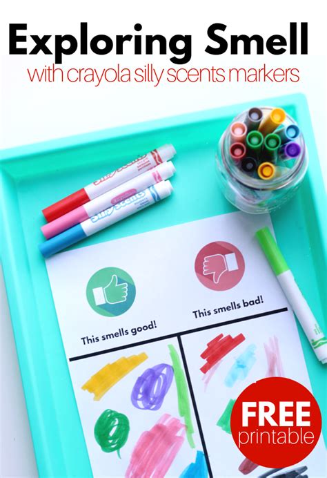 Sense Of Smell Activity With Crayolas New Silly Scents Markers No