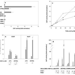 Rescue Of Hnf Lbd Missense Mutants By Agonist Proligands Of Hnf