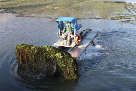 Marsh Buggy Swamp Buggy Info And Video Lrhr Llc