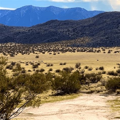 Anza Borrego State Park Gotoborregosprings