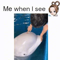 squishable head   world raceattorneycirclejerk