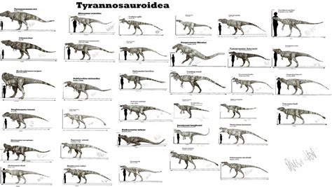 Tyrannosauroidea | Prehistoric animals, Prehistoric creatures, Dinosaur art