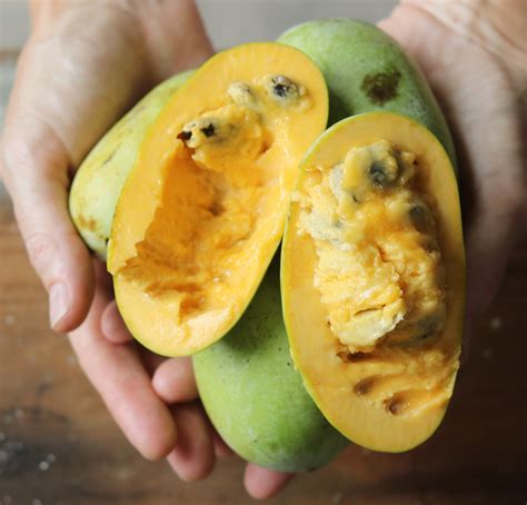 Pawpaws Everything You Need To Know About The Native American Fruit