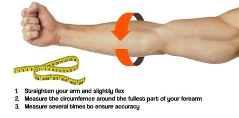 Average Forearm Size For Men And Women Fitness Volt