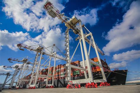 Eight New Liebherr Ship To Shore Container Cranes Machinery Movers