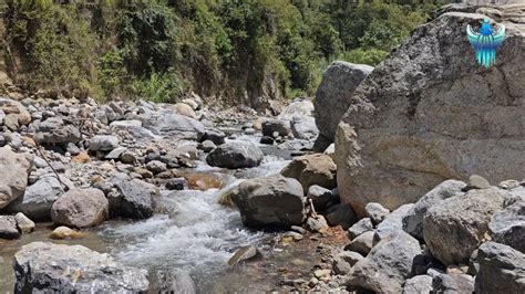 Sonido De Arroyo Pasando Entre Las Piedras Para MEDITAR Naturaleza