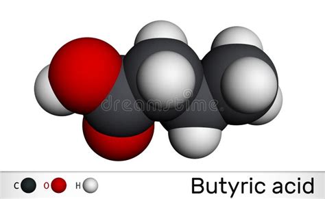 Butyric Acid Butanoic Acid Molecule Butyrates Or Butanoates Are Salts