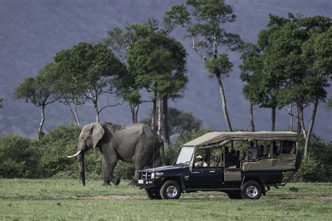 2 Days Masai Mara Joining Budget Safari In Kenya From 220 African