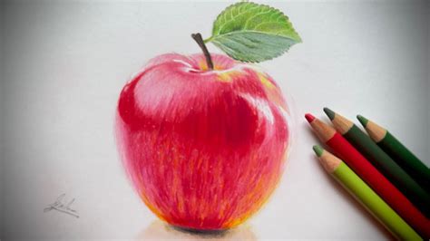 Drawing Of Apple With Color Pencil How To Draw Apple Fruit Realistic