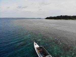 12 Wisata Karimunjawa Yang Wajib Masuk List Telusuri Nusantara