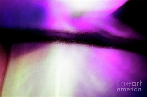 Dreamtime Orchid Photograph By Michael Ziegler Fine Art America