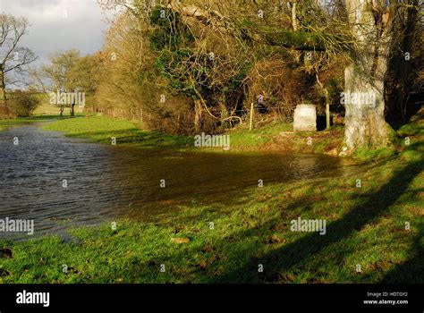 Flooded meadow at Thames Head, the official source of the river Thames ...