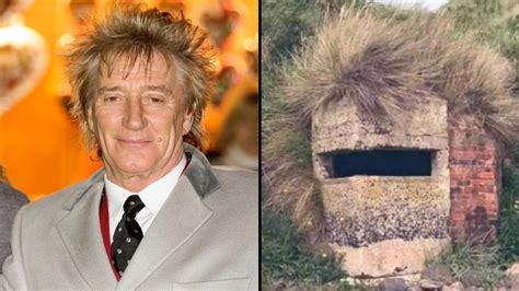 Rod Stewart Hilariously Responds To Meme Saying He Looks Like A Random