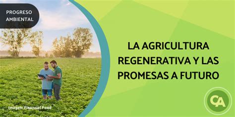 La Agricultura Regenerativa Funciona Y Promete Ser Parte De La