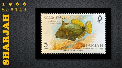 Sharjah Sc Orange Lined Triggerfish Balistapus Undulatus