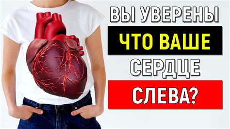 ГДЕ НАХОДИТСЯ СЕРДЦЕ У ЧЕЛОВЕКА ОТДЫХАЕТ ЛИ ВАШЕ СЕРДЦЕ ИЛИ НА ИЗНОС