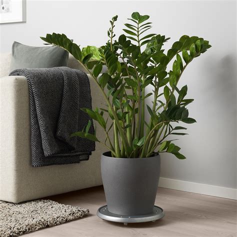 Indoor Plant Pots And Hanging Planters Ikea