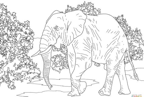 African Savanna Coloring Page at GetDrawings | Free download