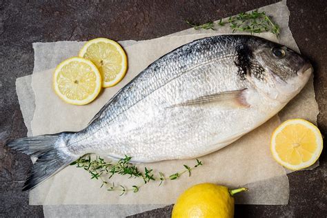 8 Bonnes Raisons De Manger Du Poisson