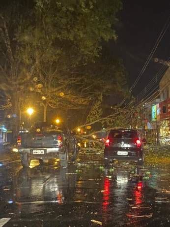 Temporal Derrubou Mais De Rvores Nesta Quarta Feira Noite Em